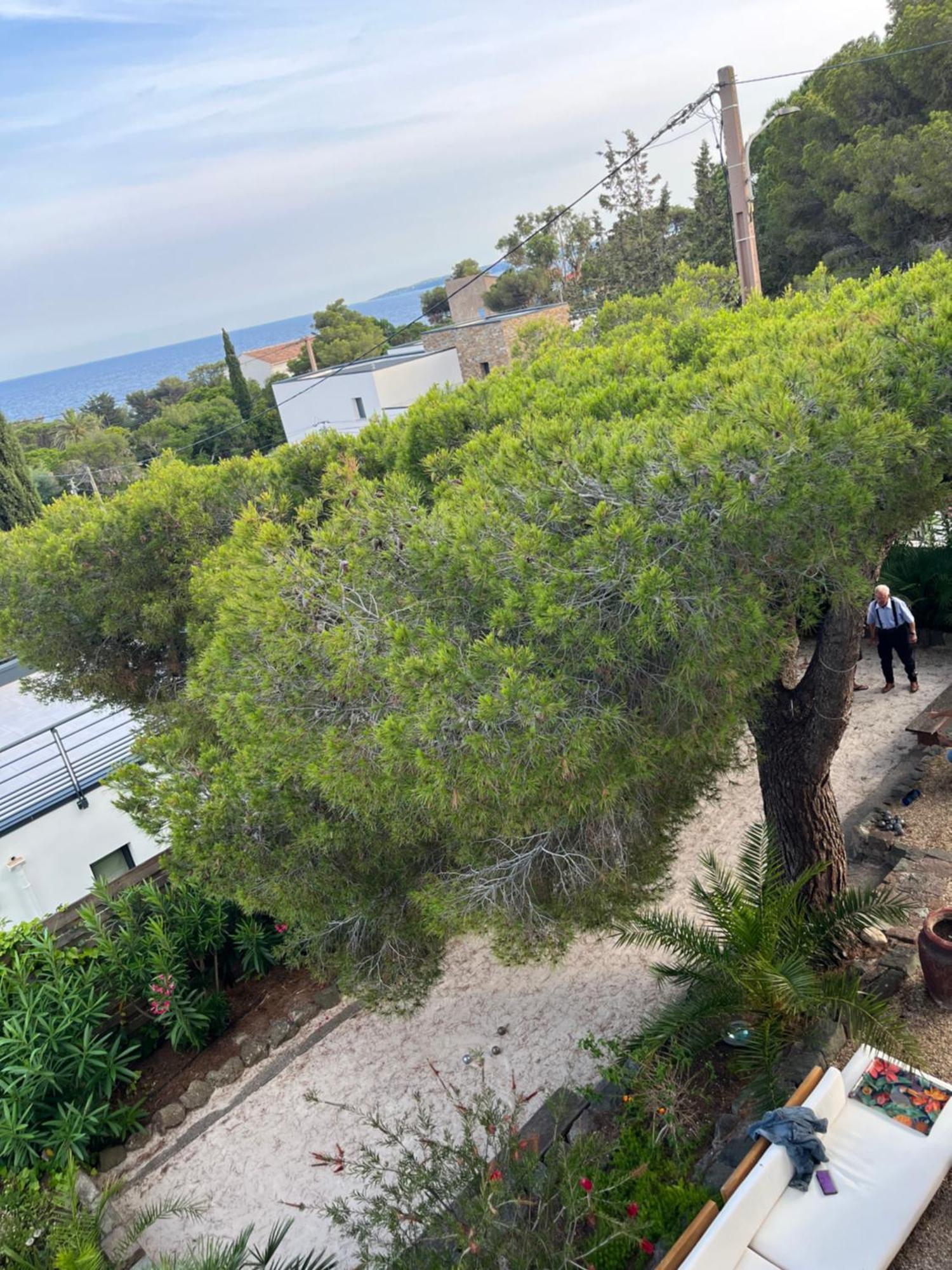 Villa Paradis لي إيسامبر المظهر الخارجي الصورة